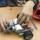Wałbrzych - Robotyka Lego Duplo, System, WeDo 2.0, Roboty Edu